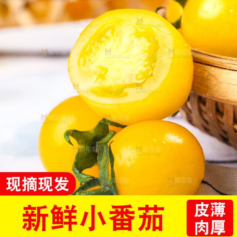 浅底上的黄金圣女果