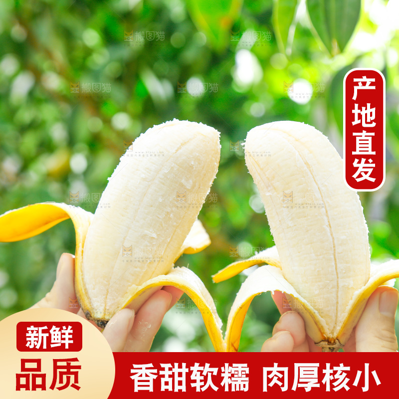 手拿剥皮的广西苹果蕉