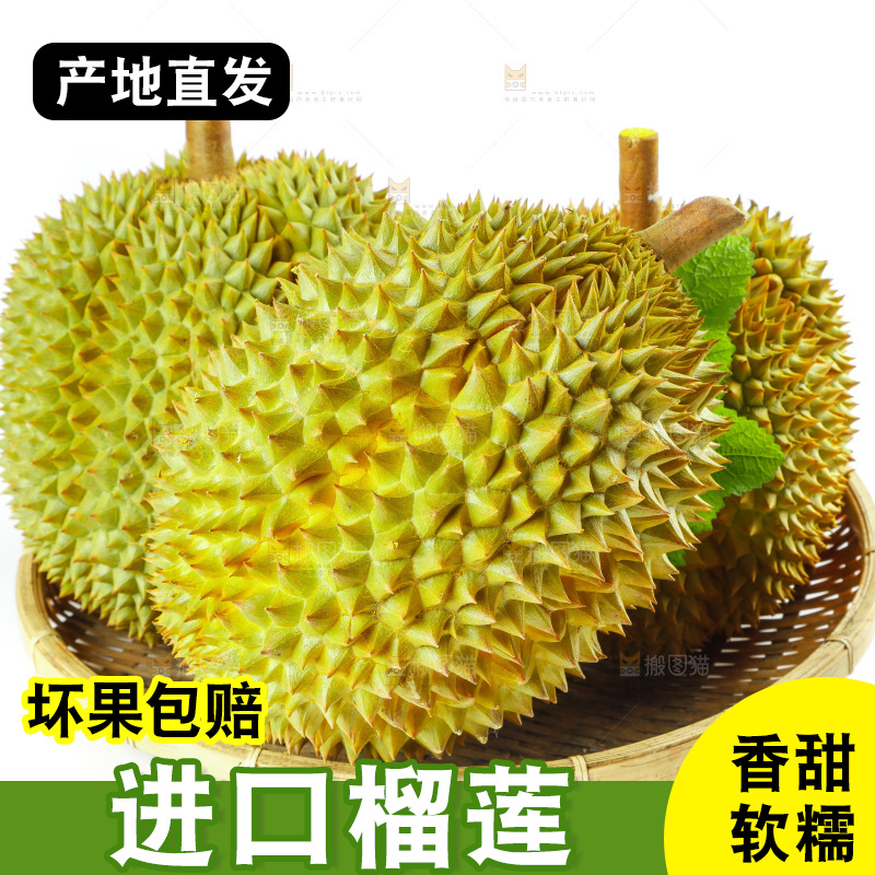 白底上的新鲜榴莲