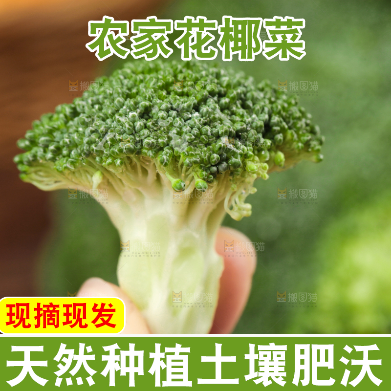 手拿新鲜的西兰花
