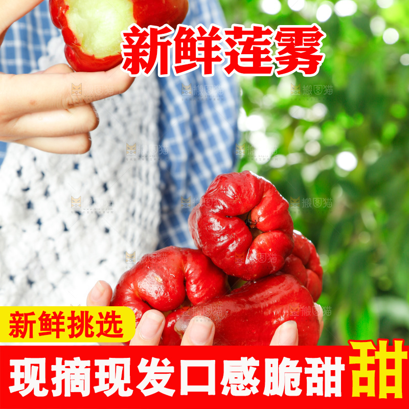 手拿新鲜黑金刚莲雾