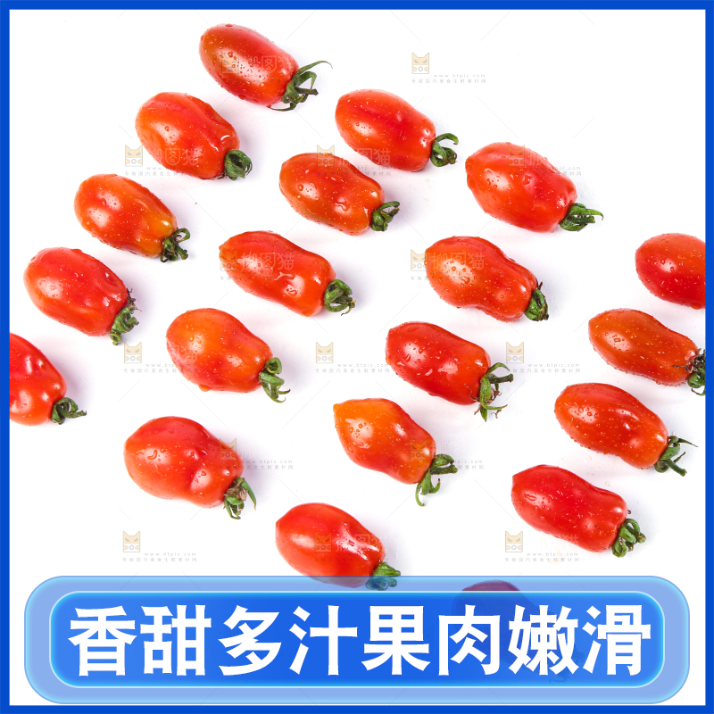 白底上摆放着丹东409小柿子