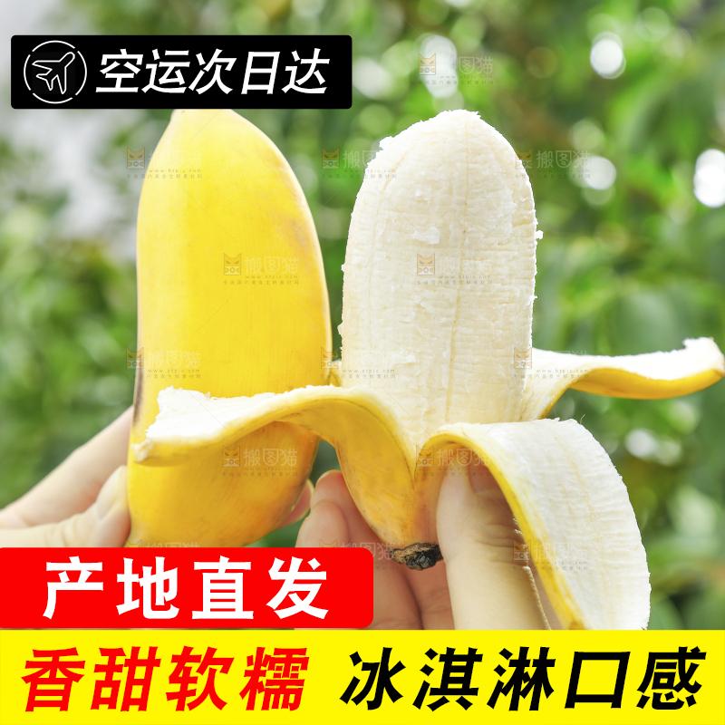 手拿剥皮的广西苹果蕉
