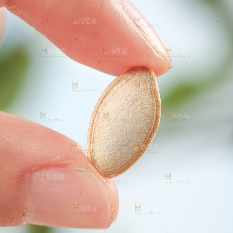 手拿南瓜子