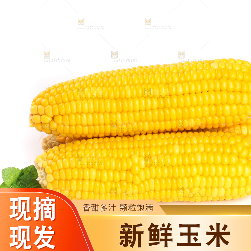 白底上放着黄玉米