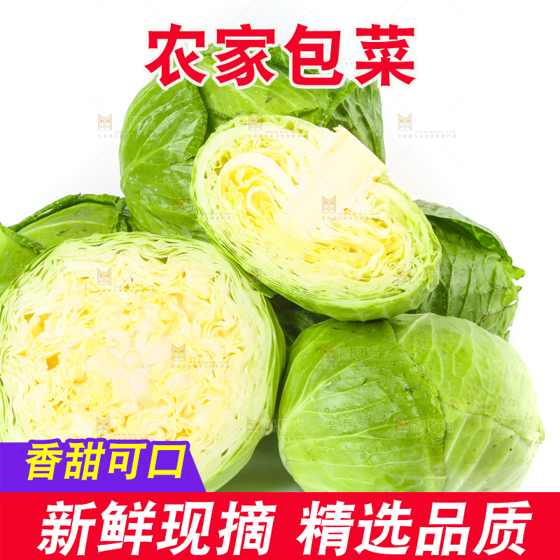 切开的卷心菜放在白底上