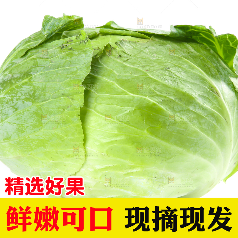 的底上的新鲜包菜