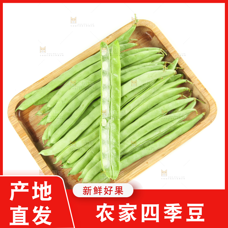 白底上的新鲜四季豆