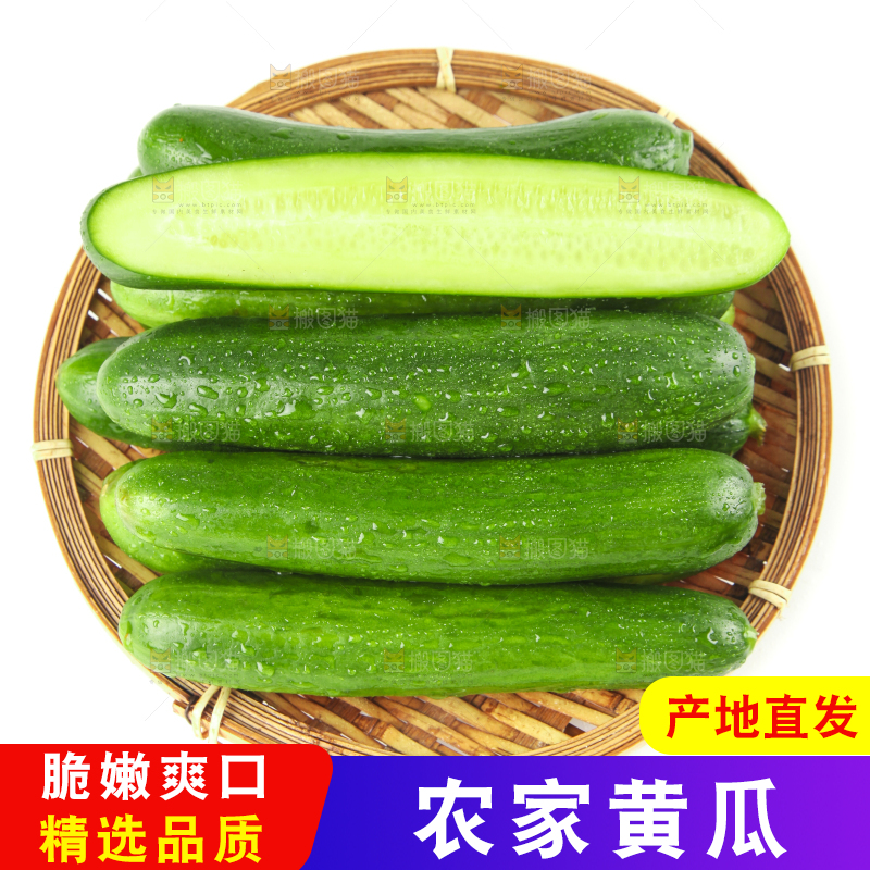 篮子里装着水果小黄瓜