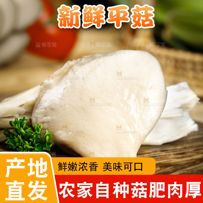 木底上的新鲜平菇