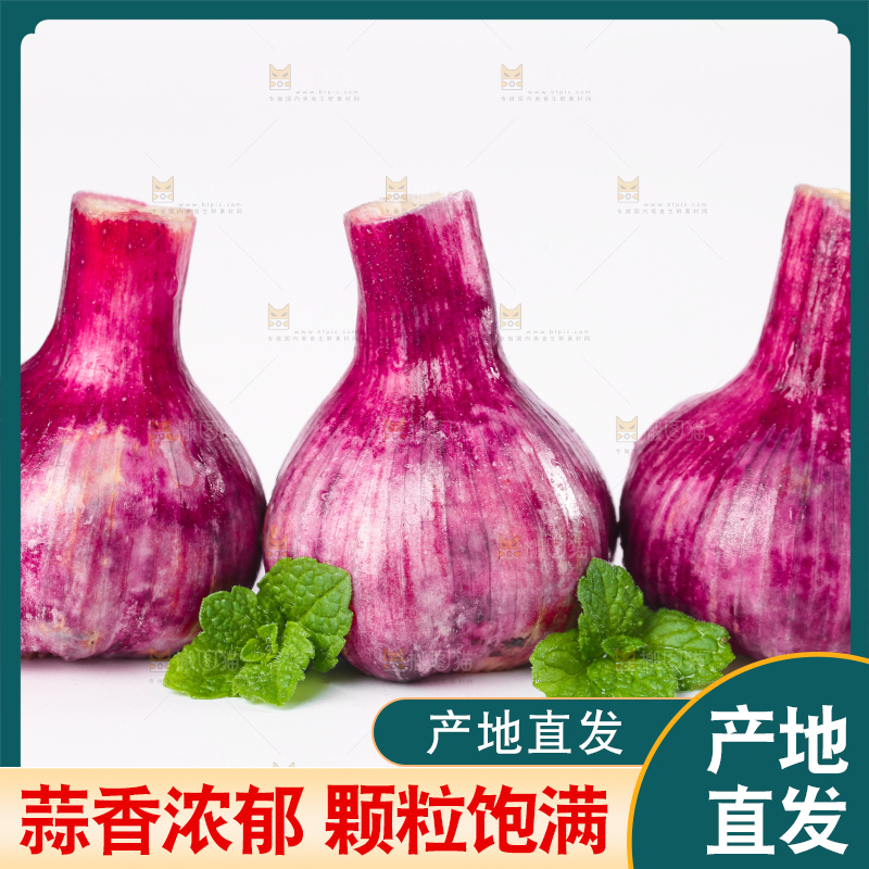 白底上放着紫皮大蒜