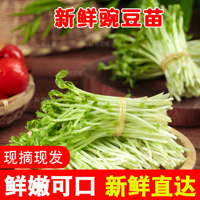 篮子里装着豆苗菜