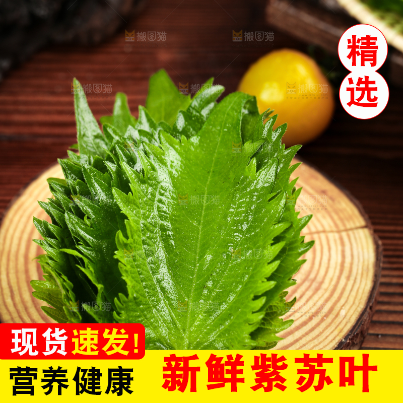 木底上的新鲜紫苏叶