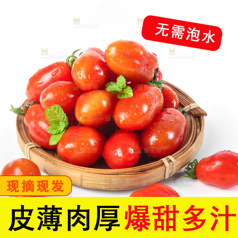 白底上摆放着丹东409小柿子