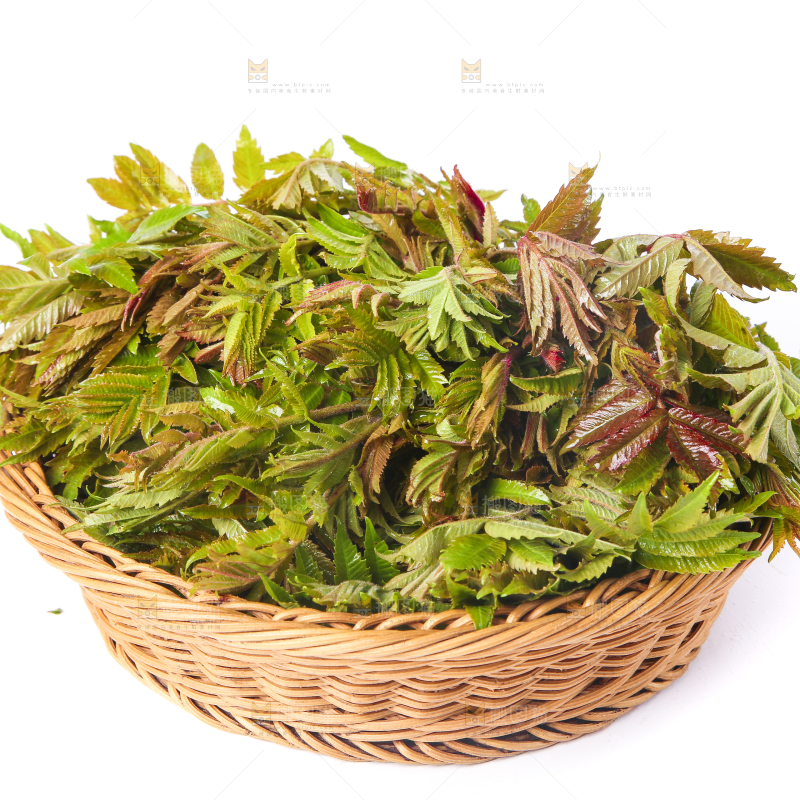 白底上放着一筐香椿芽