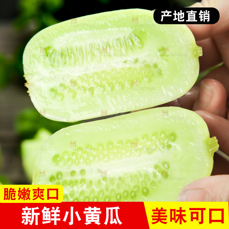 手拿切开的玉女黄瓜