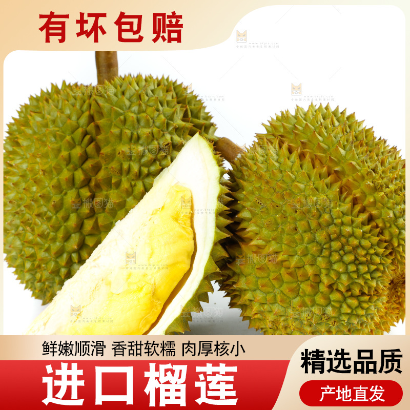 白底上的泰国榴莲