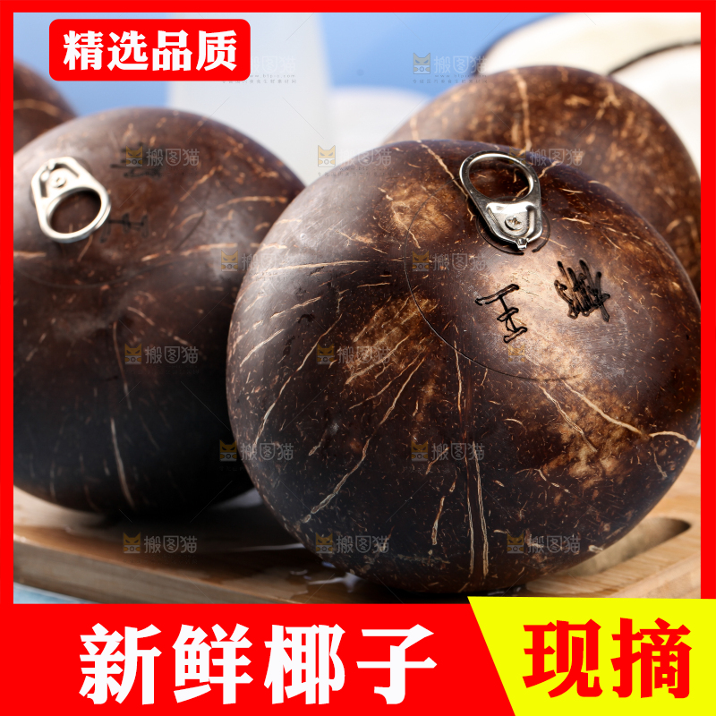 木板上的牛奶老椰子