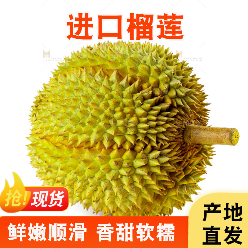 白底上的新鲜榴莲