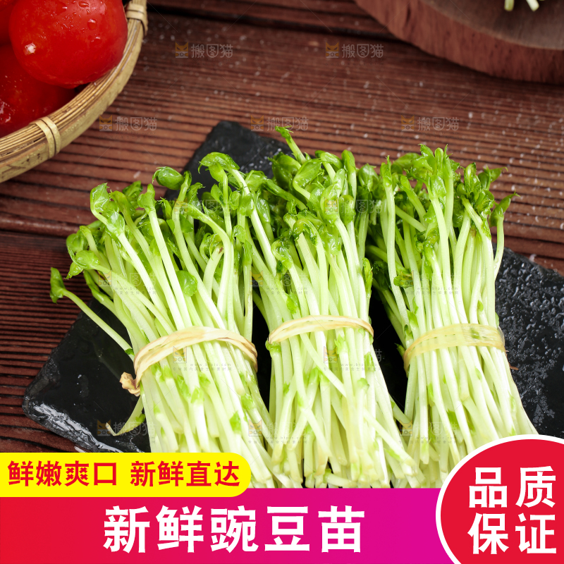 黑石板上的豌豆芽苗菜