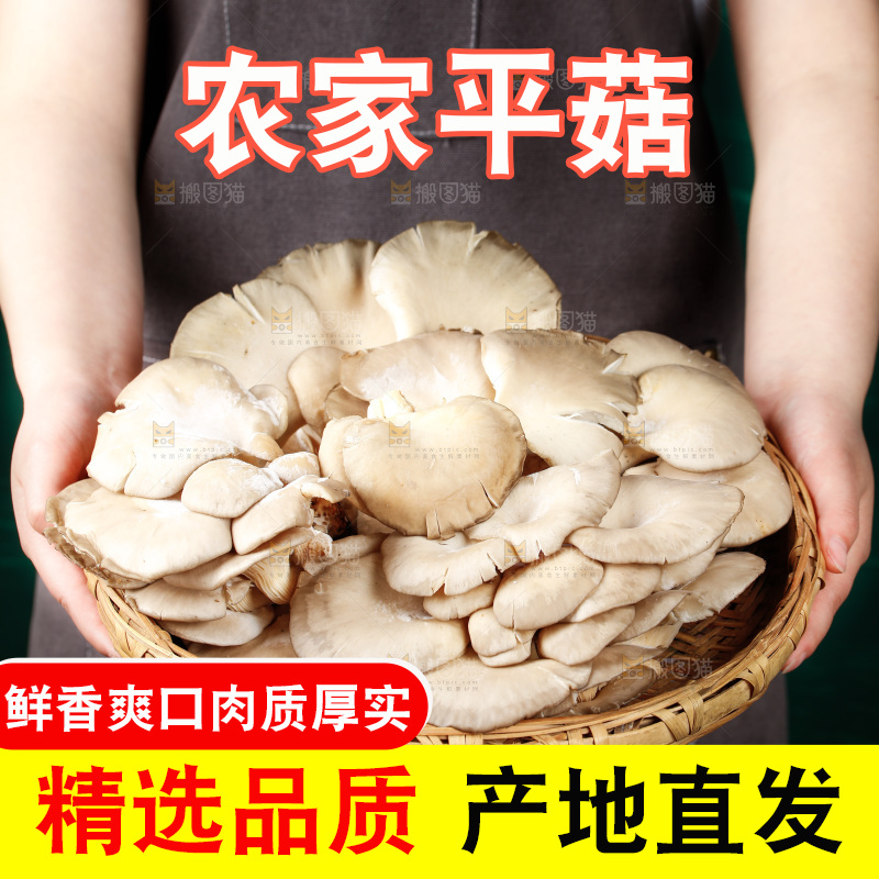 手拿一筐新鲜平菇