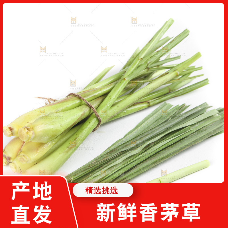 白底上的泰国香茅草