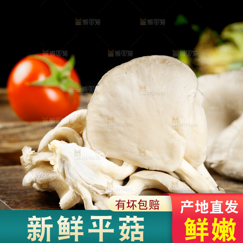 木底上的新鲜平菇