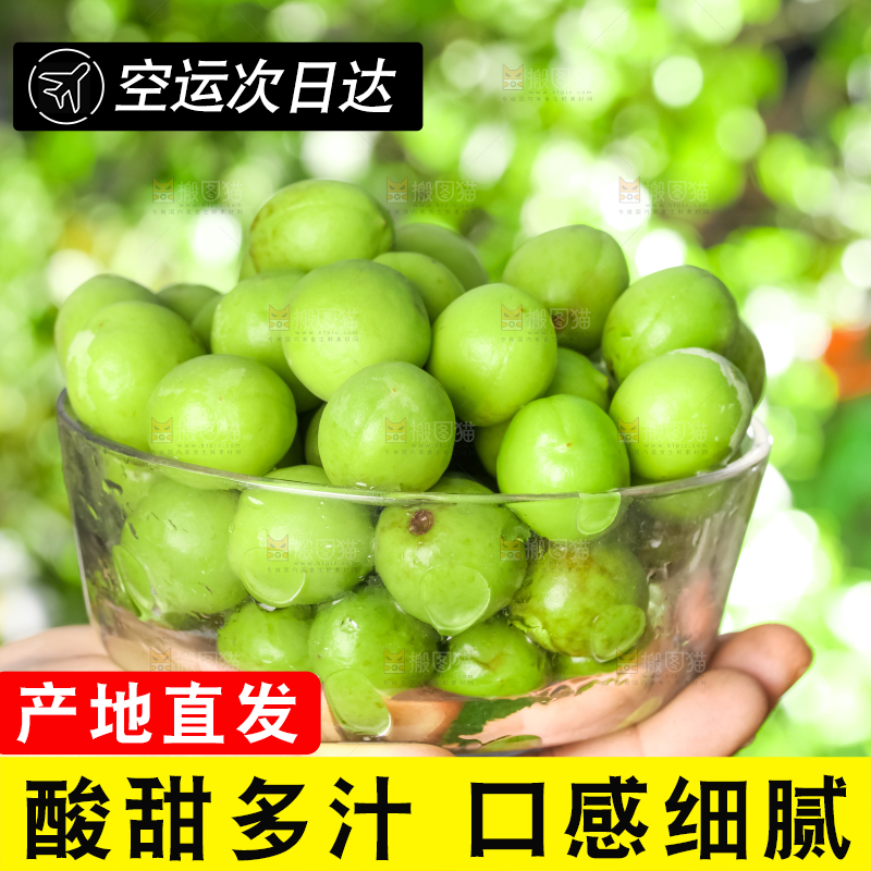 手拿一碗青梅