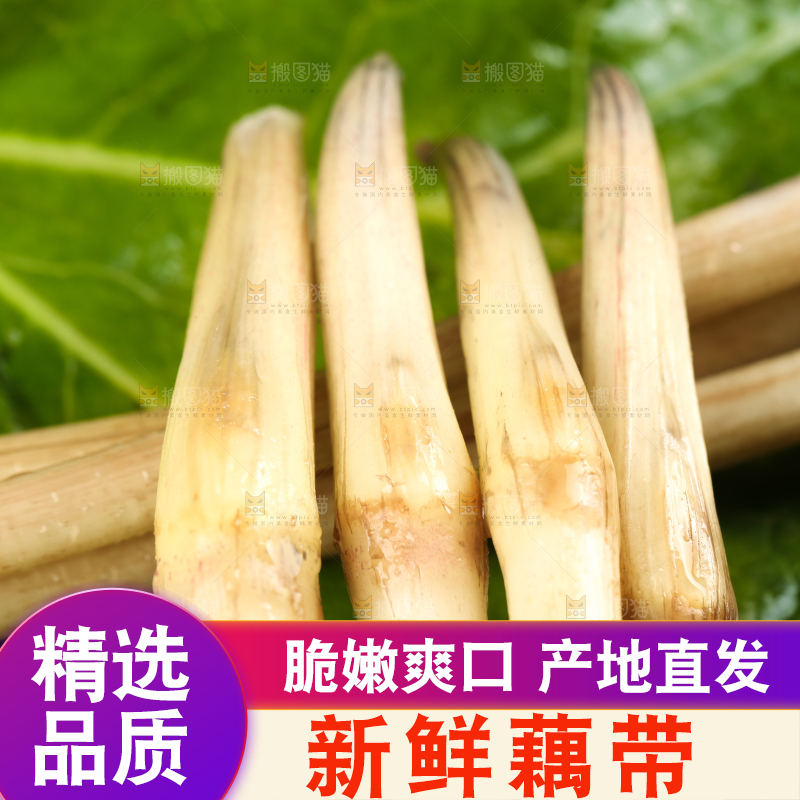 荷叶上放着洪湖藕带