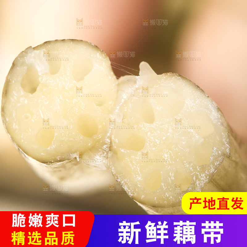 手里拿着藕苗