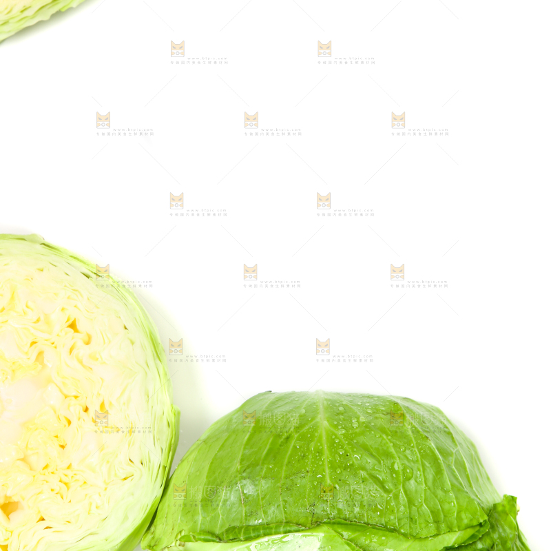 白底上的新鲜卷心菜