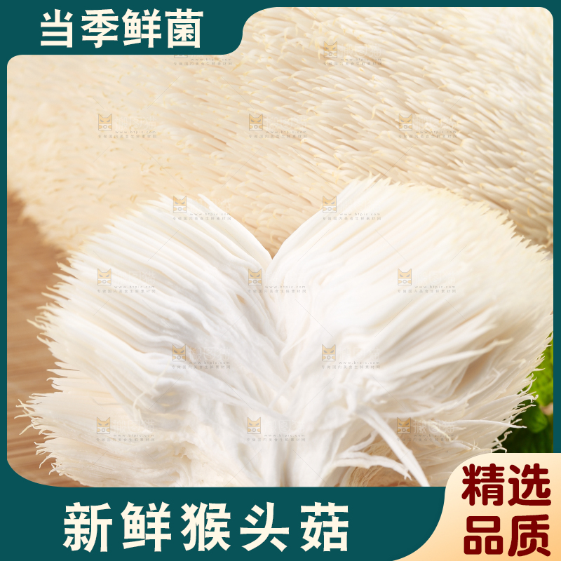 木板上放着长白山猴头菇