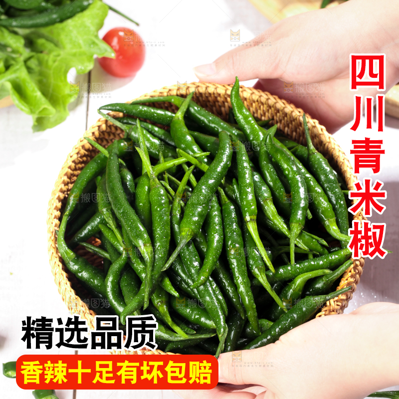 手拿一筐新鲜青米椒