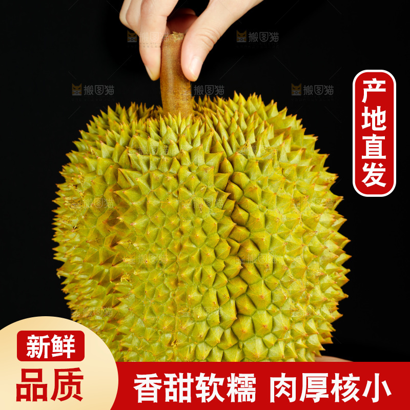 手里拿着进口甲仑榴莲