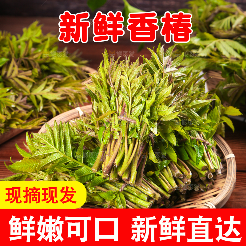 木底上放着一盘香椿芽