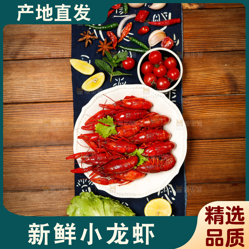 龙虾背景纹理