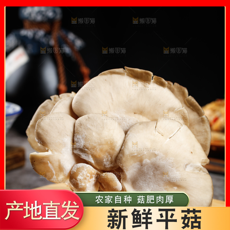 深底上的新鲜平菇