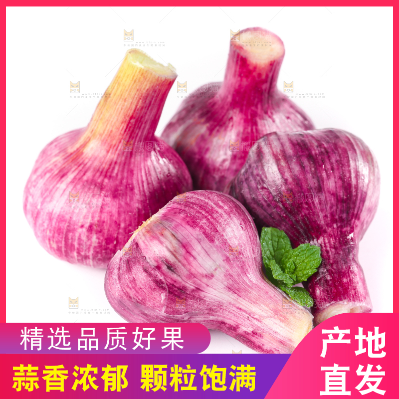 白底上放着紫皮大蒜