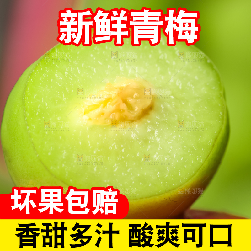 浅底上的青梅