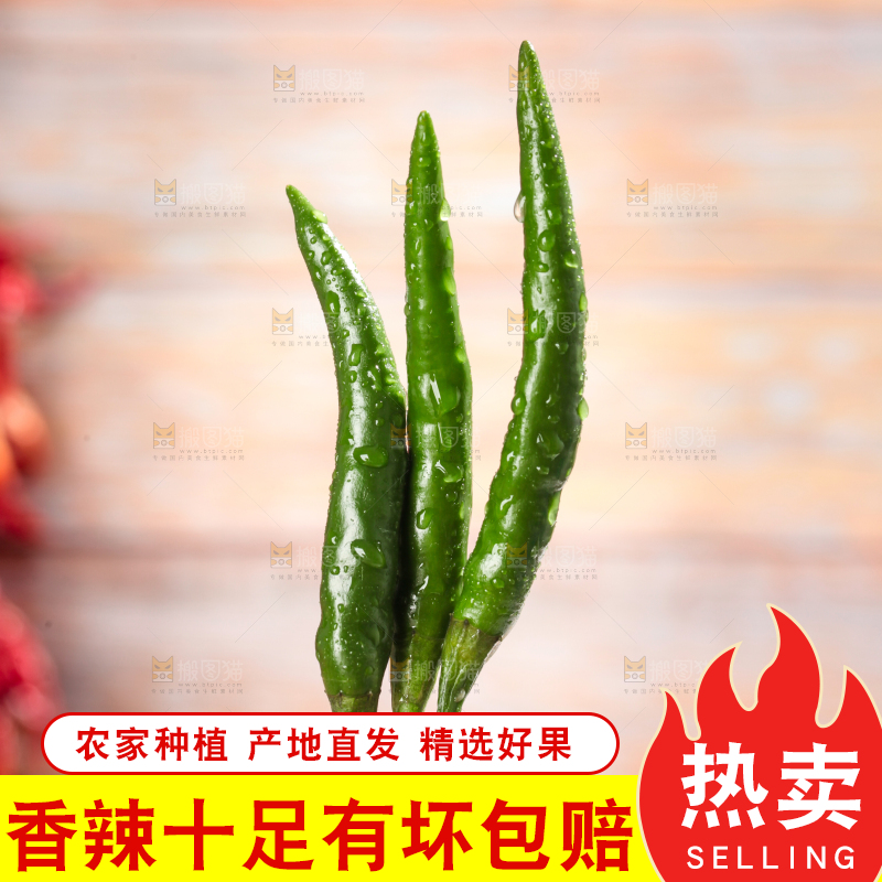 手拿新鲜小米椒