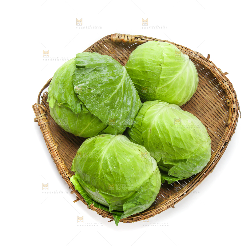 白底上放着一筐陕西卷心菜