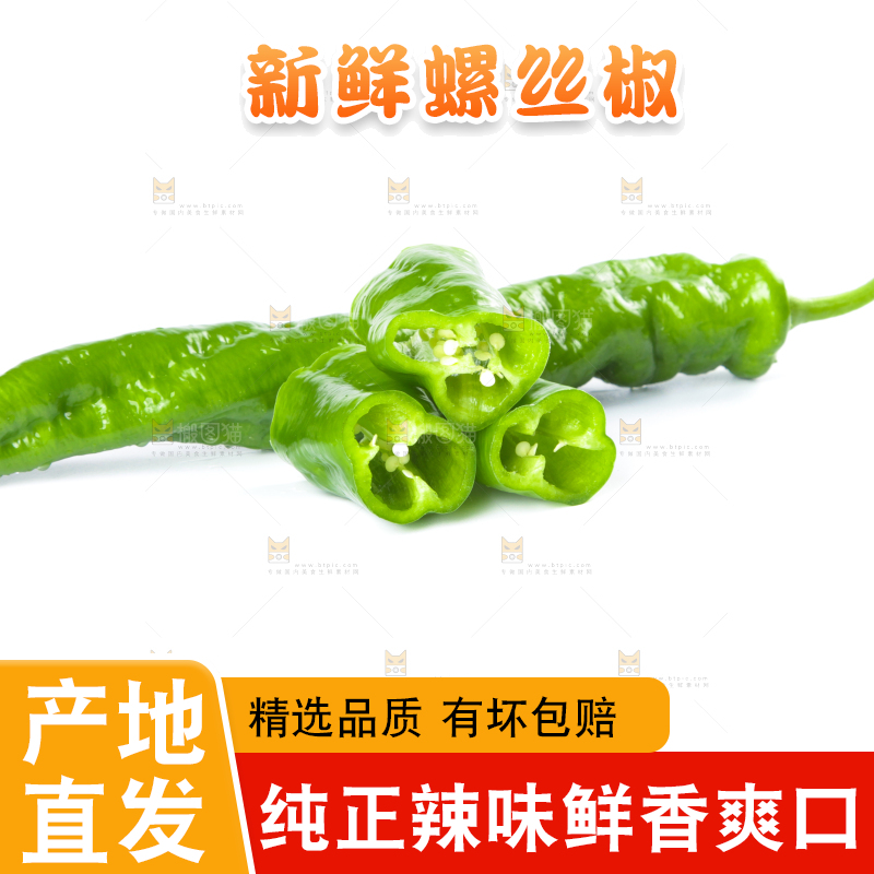 白底上的农家新鲜辣椒