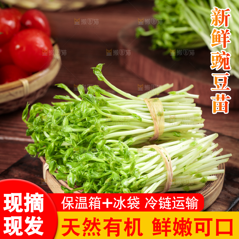 篮子里装着豆苗菜
