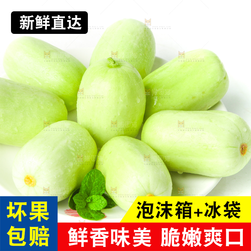 一盘迷你小黄瓜放在白底上