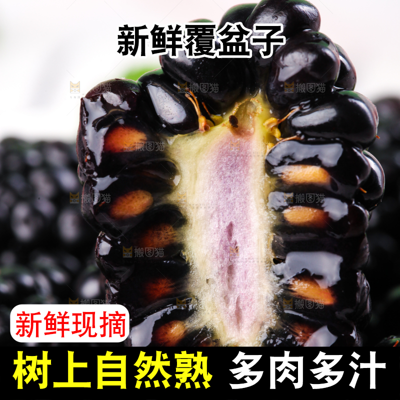 格子布上放着一碟黑树莓