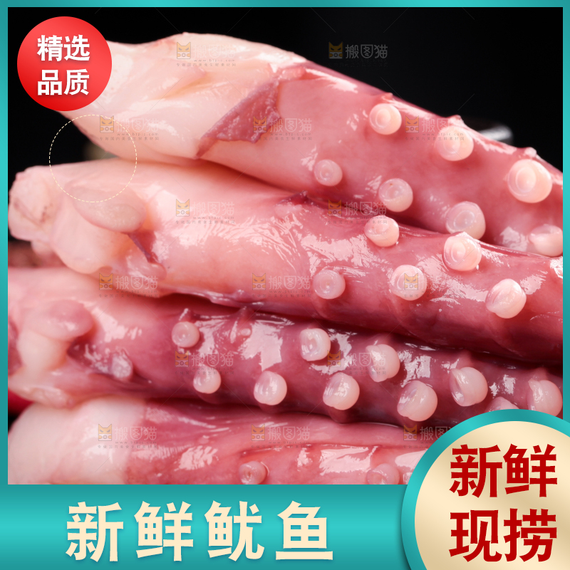黑石板上的大鱿鱼