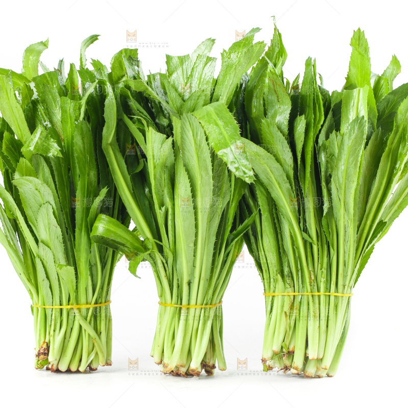 白底上的大香菜