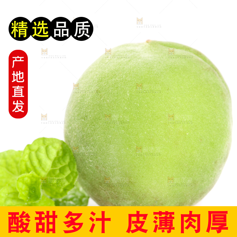 白底上新鲜的青梅