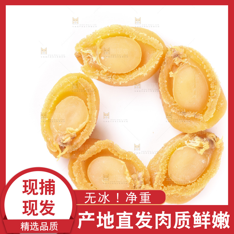 白底上的深海野生鲍鱼干