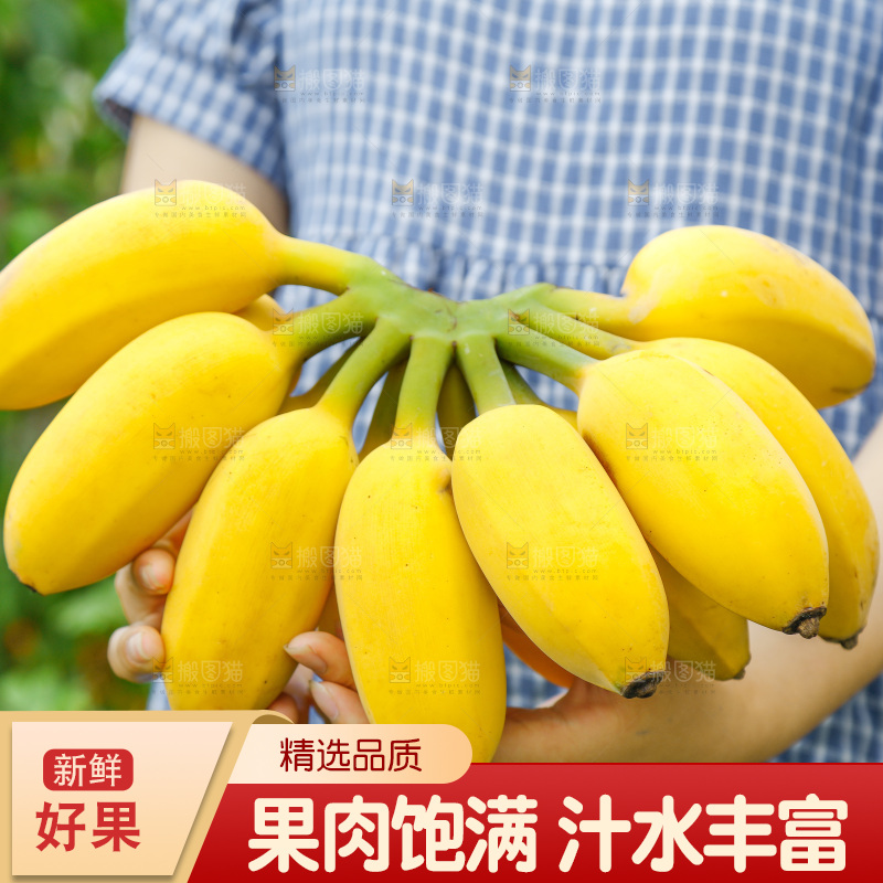 草地上放着一把苹果蕉
